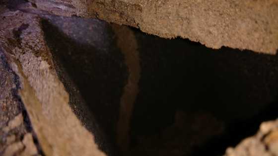 A termite mud tube in a masonry void